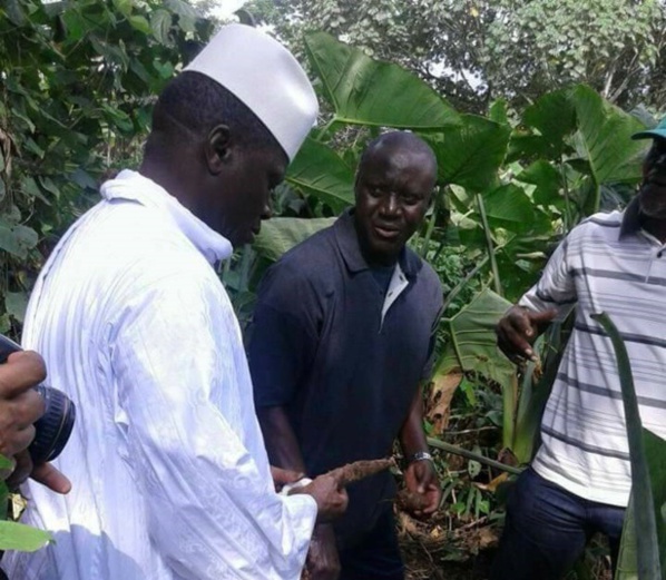 Photos exclusives sur la nouvelle vie de Yahya Jammeh en Guinée Equatoriale 