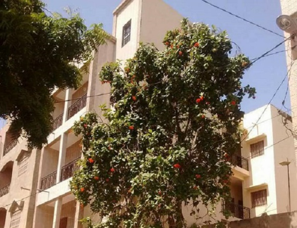 DAKAR: Baldé a pris en location un immeuble R+3 pour les étudiants de Ziguinchor DAKAR: Baldé a pris en location un immeuble R+3 pour les étudiants de Ziguinchor