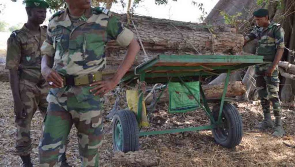 Les agents des Eaux et forêts Sénégalais arrêtées en Gambie, ont été tous libérés Les agents des Eaux et forêts Sénégalais arrêtées en Gambie, ont été tous libérés