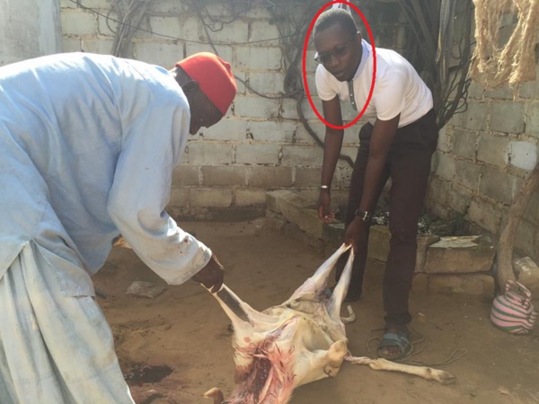 Patrice Sané, le chrétien qui aide les musulmans à égorger leurs moutons