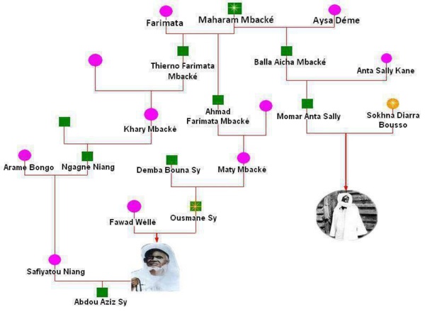 Les liens de parenté entre El Hadji Malick Sy et Cheikh Ahmadou Bamba