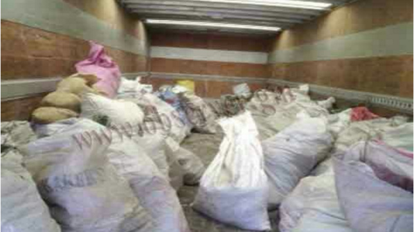 (Photos Exclusives) Des lingots d'or, de l’argent, de la drogue trouvés chez Jammeh