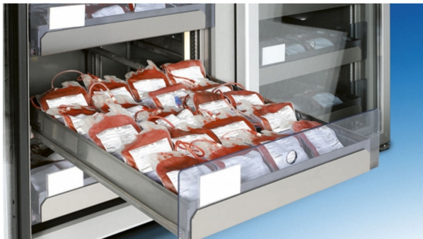 Alerte : il n'y a plus de sang dans les hôpitaux de Ziguinchor Alerte : il n'y a plus de sang dans les hôpitaux de Ziguinchor