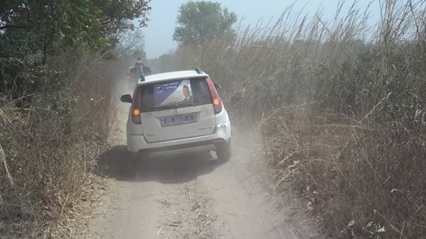 Casamance: Des Apéristes désertent le terrain, Baldé fonce dans les profondeurs de la verte région Casamance: Des Apéristes désertent le terrain, Baldé fonce dans les profondeurs de la verte région