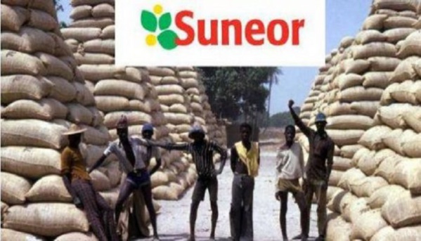 Ziguinchor: Colère des OPS victimes des bons impayés  de la Sonacos