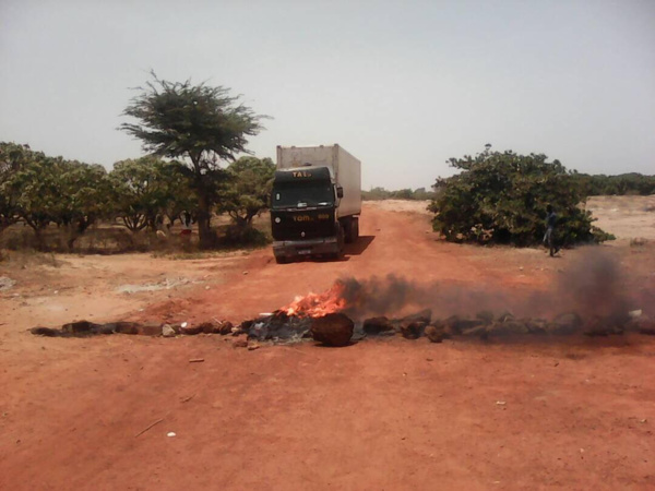 Usine Alantik Sead Food: les travailleurs désespérés, réclament leurs salaires à la direction Usine Alantik Sead Food: les travailleurs désespérés, réclament leurs salaires à la direction