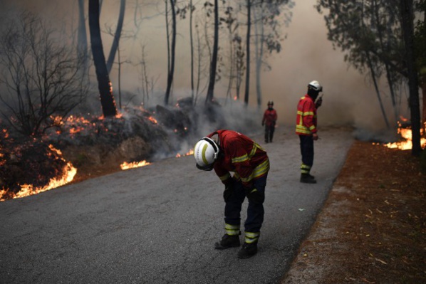 Portugal: un feu de forêt fait 24 morts et une vingtaine de blessés Portugal: un feu de forêt fait 24 morts et une vingtaine de blessés
