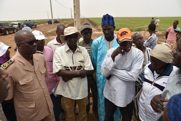 Serigne Mboussobé Bousso en tournée économique au Nord : « il est possible de réaliser l'autosuffisance en riz grâce aux efforts consentis par le Président Macky Sall » Serigne Mboussobé Bousso en tournée économique au Nord : « il est possible de réaliser l'autosuffisance en riz grâce aux efforts consentis par le Président Macky Sall »