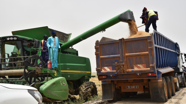 Serigne Mboussobé Bousso en tournée économique au Nord : « il est possible de réaliser l'autosuffisance en riz grâce aux efforts consentis par le Président Macky Sall » Serigne Mboussobé Bousso en tournée économique au Nord : « il est possible de réaliser l'autosuffisance en riz grâce aux efforts consentis par le Président Macky Sall »