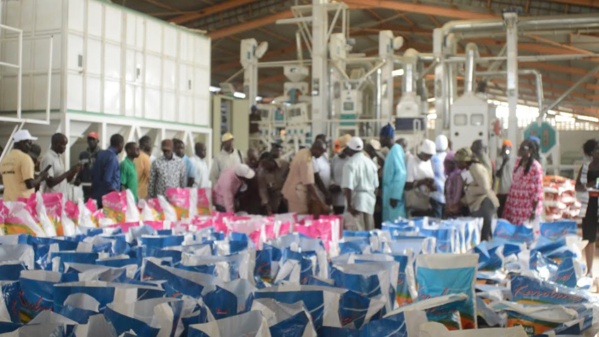 Serigne Mboussobé Bousso en tournée économique au Nord : « il est possible de réaliser l'autosuffisance  en riz grâce aux efforts consentis par le Président Macky Sall »