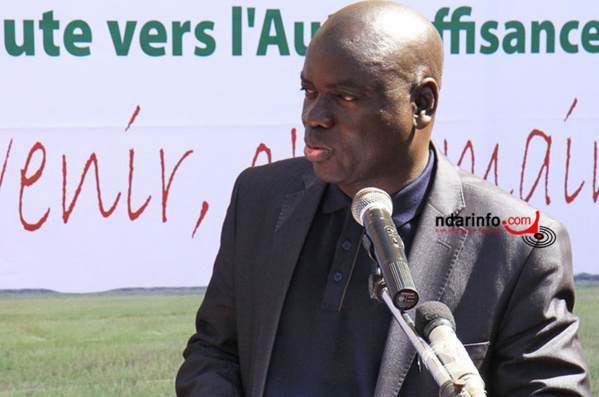 Samba Kanté n'est plus le DG de la SAED Samba Kanté n'est plus le DG de la SAED