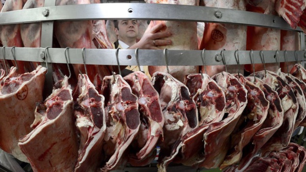 Comment de la viande bovine tuberculeuse peut se retrouver dans nos assiettes