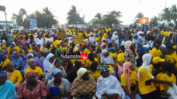 500 f Cfa la carte du Pds, trop cher pour certains responsables libéraux 500 f Cfa la carte du Pds, trop cher pour certains responsables libéraux