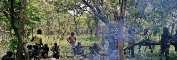 Massacre de Boffa : une famille signale un disparu Massacre de Boffa : une famille signale un disparu