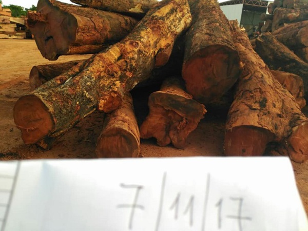 Scandale: le bois Casamançais en Gambie, un blanc revendique...