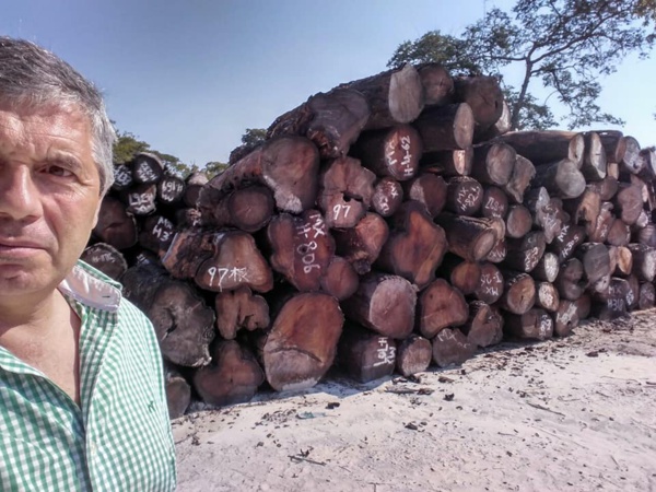 Scandale: le bois Casamançais en Gambie, un blanc revendique...