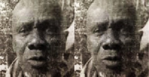 Trafic de bois en Casamance: Bourama Sané, s'est suicidé pour dénoncer la complicité des autorités administratives Trafic de bois en Casamance: Bourama Sané, s'est suicidé pour dénoncer la complicité des autorités administratives