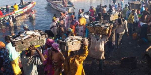 Sénégal-Mauritanie : le casse-tête des accords de pêche
