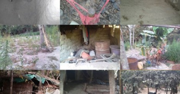 Au cœur d'une base rebelle en Casamance : Bunkers, munitions, médicaments, drogue…( Images) Au cœur d'une base rebelle en Casamance : Bunkers, munitions, médicaments, drogue…( Images)