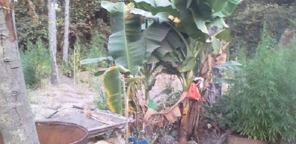 Au cœur d'une base rebelle en Casamance : Bunkers, munitions, médicaments, drogue…( Images)