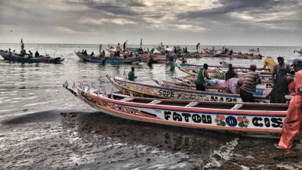 Les détails de l’arrestation des 107 pêcheurs sénégalais en Guinée Bissau