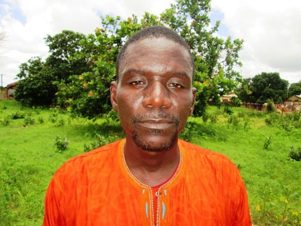 Bignona: Arrestation d'un maire Apériste pour trafic de bois Bignona: Arrestation d'un maire Apériste pour trafic de bois