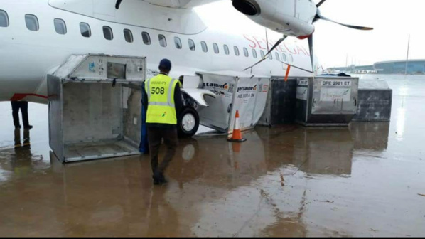 L' Aéroport international Blaise Diagne inondé: Plusieurs dégâts et des vols annulés  