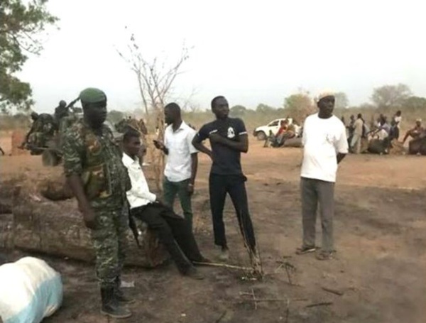 Les agents forestiers meurtriers du jeune Mbacké Fal, arrêtés