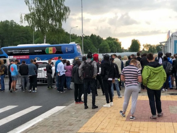 Les lions arrivent ce samedi soir