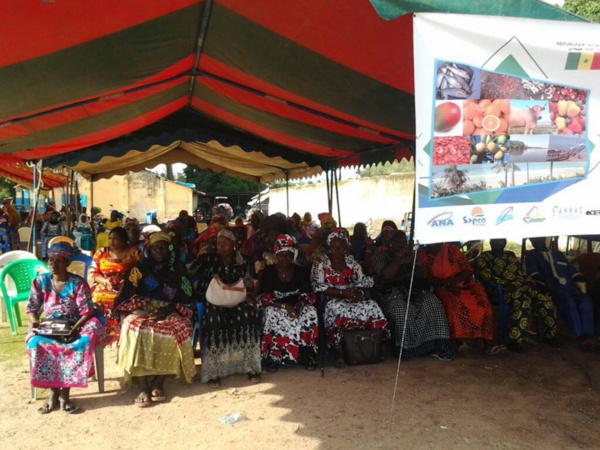  Bignona: Les Journées économiques de Kataba1, un grand "succès"  
