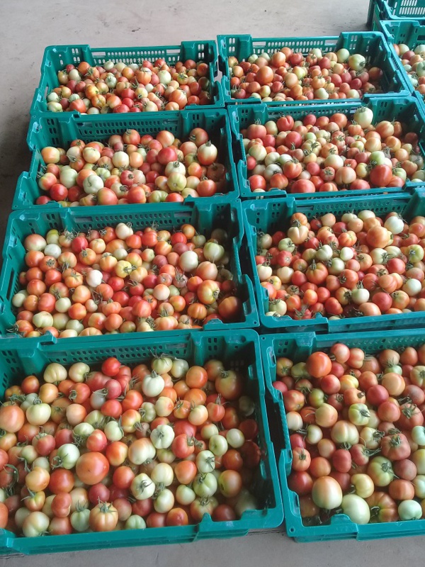 PRODAC,  l’heure de la récolte a sonné !