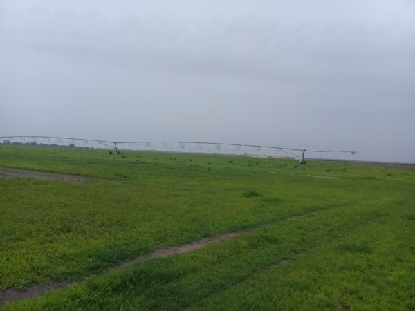 PRODAC,  l’heure de la récolte a sonné !