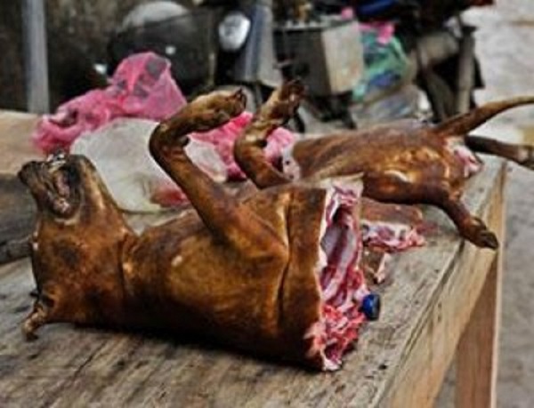 Guédiawaye : Un homme arrêté avec de la viande de chien