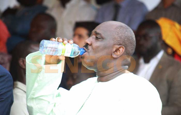 Présidentielle à Matam: Farba Ngom promet à Macky 99% Présidentielle à Matam: Farba Ngom promet à Macky 99%