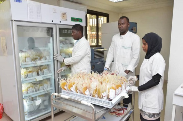 Journée de don de sang au centreTalibou Dabo: Plus de 500 personnes ont répondu présent Journée de don de sang au centreTalibou Dabo: Plus de 500 personnes ont répondu présent