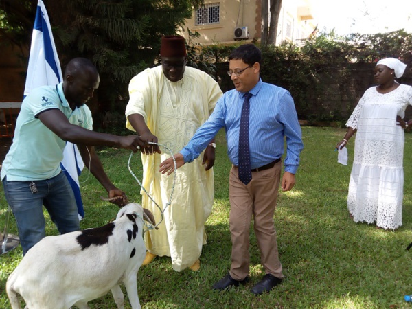 TABASKI 2018: Israël offre des moutons aux nécessiteux Sénégalais 