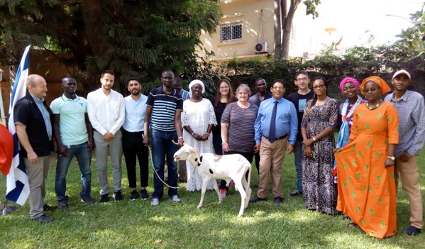 TABASKI 2018: Israël offre des moutons aux nécessiteux Sénégalais 