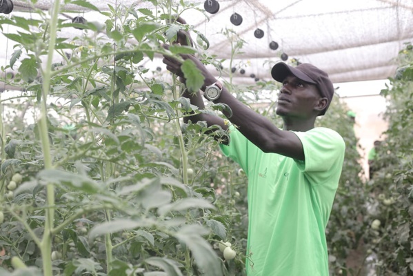 Le PRODAC monte en puissance et ravitaille le marché (Images)