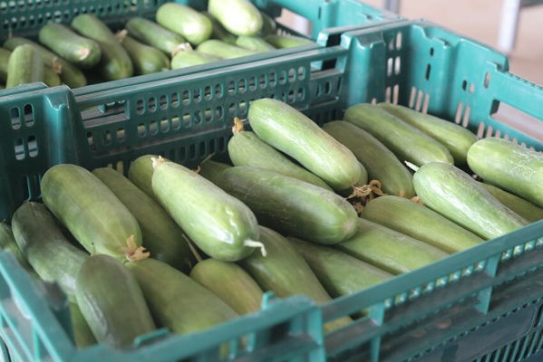 Le PRODAC monte en puissance et ravitaille le marché (Images)