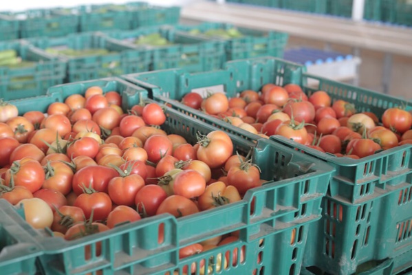 Le PRODAC monte en puissance et ravitaille le marché (Images) Le PRODAC monte en puissance et ravitaille le marché (Images)