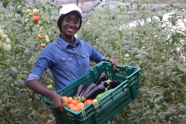Le PRODAC monte en puissance et ravitaille le marché (Images) Le PRODAC monte en puissance et ravitaille le marché (Images)