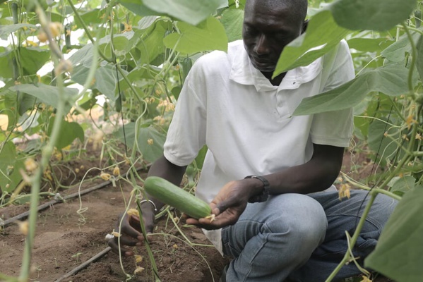 Le PRODAC monte en puissance et ravitaille le marché (Images) Le PRODAC monte en puissance et ravitaille le marché (Images)