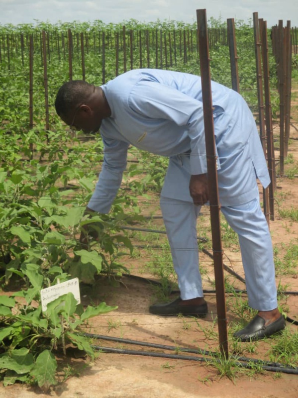 Le juge Déme tombe sous le charme du PRODAC Le juge Déme tombe sous le charme du PRODAC