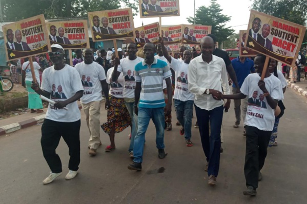 Mamina Daffé bat le record de la mobilisation à Bignona Mamina Daffé bat le record de la mobilisation à Bignona