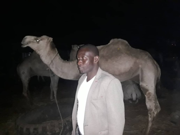 Gamou 2018 : Le ministre Amadou Ba paye des bœufs et chameaux pour Sérigne Béthio Thioune