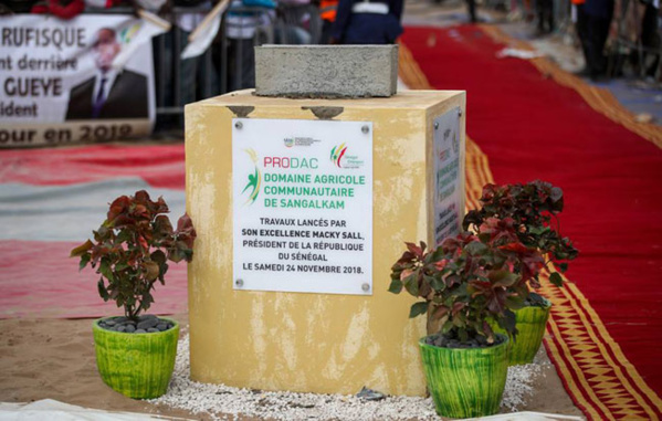 PRODAC: Le DAC de Sangalkam va projeter 662 emplois directs et 1.936 indirects