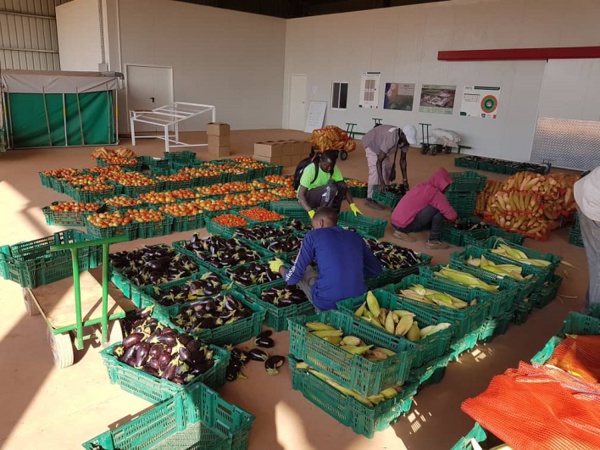 Les produits du PRODAC sur le marché (Images)
