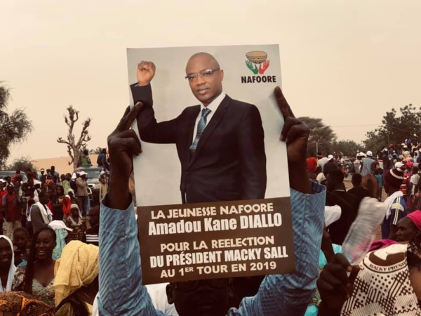 PRÉSIDENTIELLE 2019 L'incroyable razzia du maire Amadou Abdou Diallo dans la commune de Ogo !