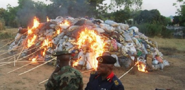 Guinée-Bissau: Les 800 kg de cocaïne saisis… Guinée-Bissau: Les 800 kg de cocaïne saisis…