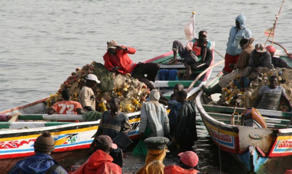 La Mauritanie rapatrie 12 mille pêcheurs sénégalais